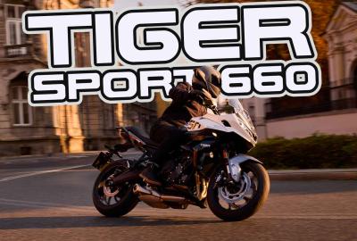 Image principale de l'actu: Triumph Tiger Sport 660 2025 : La technologie en embuscade