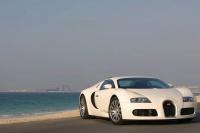 Exterieur_Bugatti-Veyron-2009_69