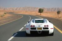Exterieur_Bugatti-Veyron-2009_41