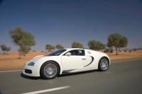 Exterieur_Bugatti-Veyron-2009_61
                                                        width=