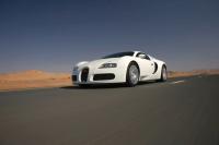 Exterieur_Bugatti-Veyron-2009_51
                                                        width=