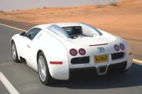Exterieur_Bugatti-Veyron-2009_47