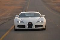 Exterieur_Bugatti-Veyron-2009_67