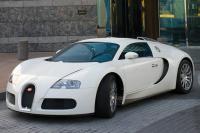 Exterieur_Bugatti-Veyron-2009_60