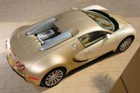 Exterieur_Bugatti-Veyron-2009_8