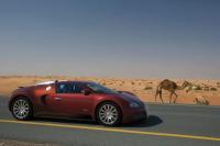 Exterieur_Bugatti-Veyron-2009_22