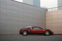 Exterieur_Bugatti-Veyron-2009_35
                                                        width=