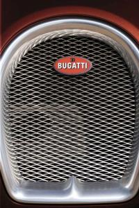 Exterieur_Bugatti-Veyron-2009_27
                                                        width=
