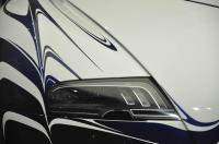 Exterieur_Bugatti-Veyron-Or-Blanc_9
