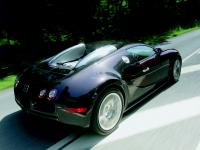 Exterieur_Bugatti-Veyron_30
                                                        width=