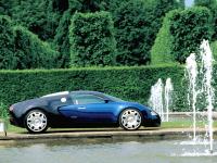 Exterieur_Bugatti-Veyron_10
                                                        width=