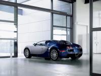 Exterieur_Bugatti-Veyron_45
                                                        width=