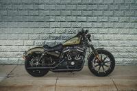 Exterieur_Harley-Davidson-Iron-883_7
                                                        width=