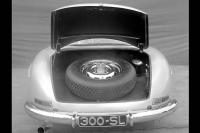 Exterieur_Mercedes-300-SL-Gullwing-1954_5
                                                        width=
