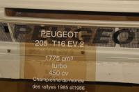 Exterieur_Peugeot-205-Turbo_4