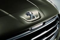 Imageprincipalede la gallerie: Exterieur_Peugeot-3008-2013-DongFeng_0