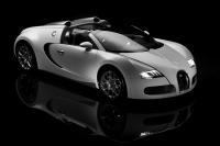 Exterieur_Bugatti-Veyron-Grand-Sport_6