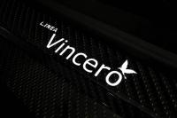Exterieur_Bugatti-Veyron-LINEA-Vincero-Oro_5
                                                        width=