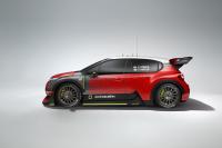 Exterieur_Citroen-C3-WRC-Concept_8
