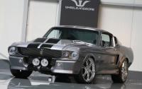 Exterieur_Ford-Shelby-500GT_9
                                                        width=