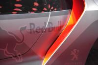 Exterieur_Salons-Peugeot-DKR-Mondial-2014_8
                                                        width=