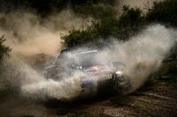 Exterieur_Sport-Buggy-Qatar-Red-Bull-Rally-Team_18