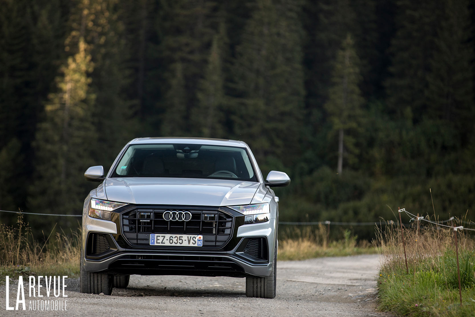 Image principale de l'actu: Audi pourrait abandonner les énormes calandres